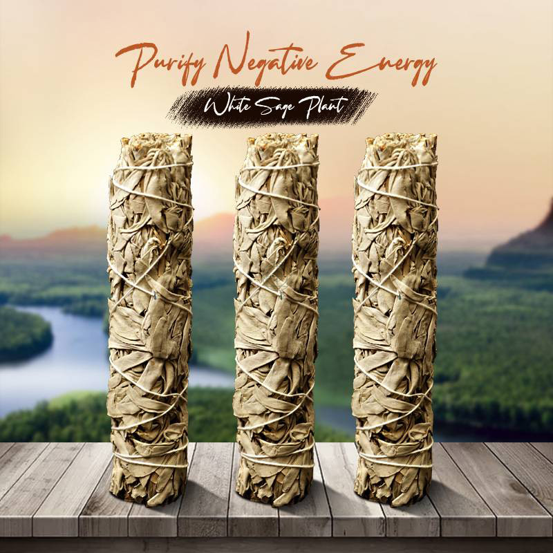 White Sage Smudge Sticks - Cleansing Negativity - Image 5