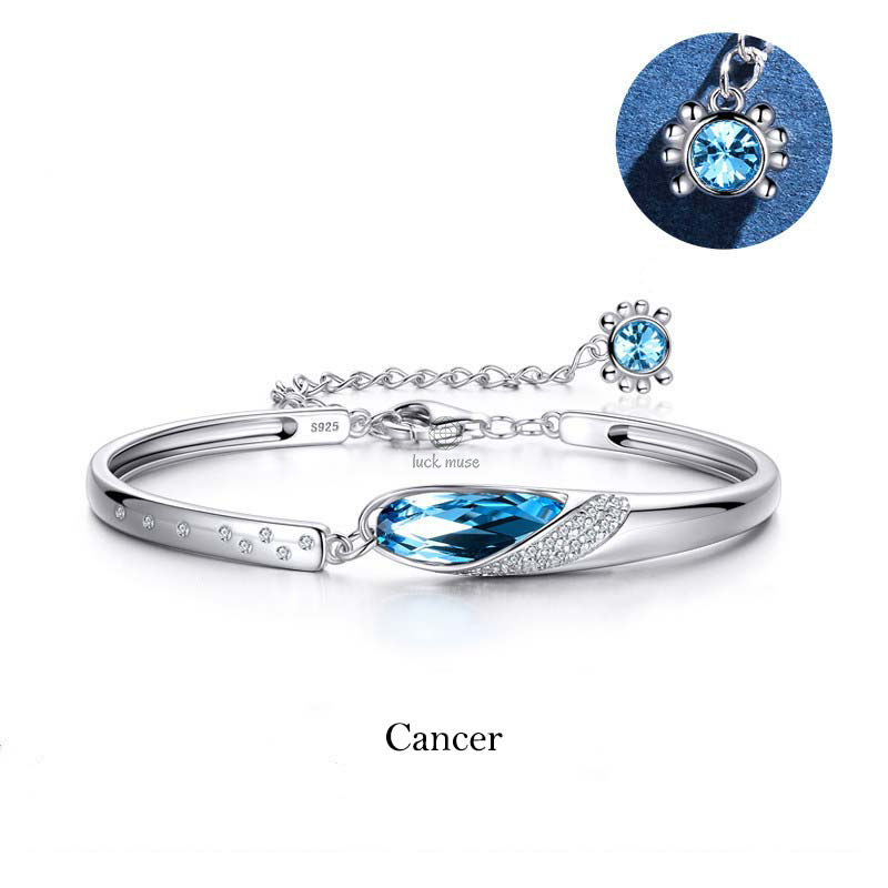 Luck Muse 925 Sterling Silver Zodiac Charm Bracelet - Image 10